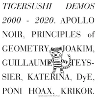 Tigersushi Demos 2000-2020 - Disquaire Day 2020