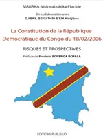 La constitution de la République Démocratique du Congo du 18/02/2006 , RISQUES ET PROSPECTIVES