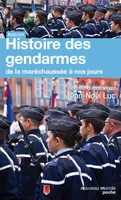 Histoire des gendarmes, De la maréchaussée à nos jours