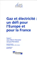 Gaz et électricité, un défi pour l'Europe et pour la France