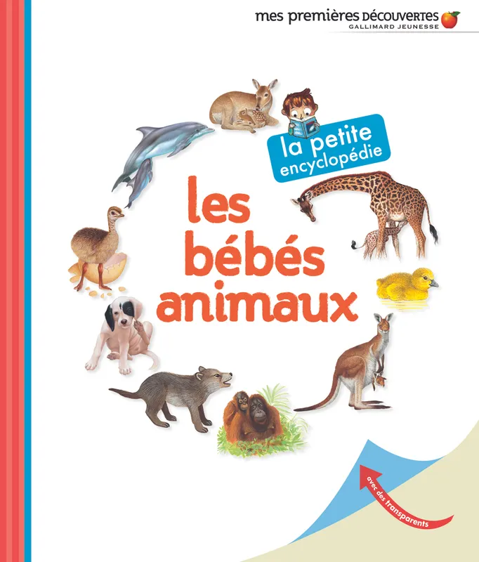 Livres Jeunesse de 3 à 6 ans Documentaires Les bébés animaux Delphine Gravier