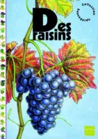 Des Raisins