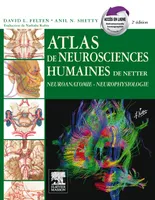 Atlas de neurosciences humaines de Netter, Neuroanatomie-Neurophysiologie