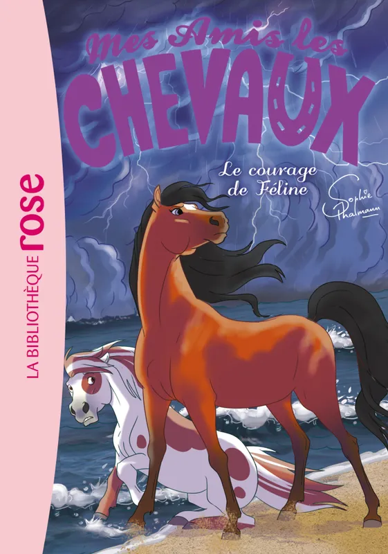 Jeux et Jouets Livres Livres pour les  6-9 ans Romans 23, Mes amis les chevaux / Le courage de Féline / Ma première bibliothèque rose Hachette Livre