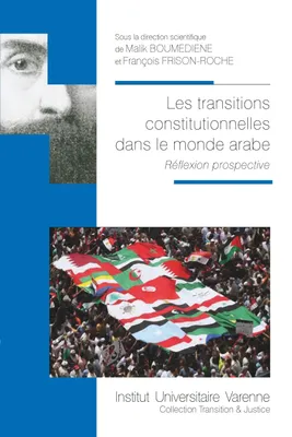 Les transitions constitutionnelles dans le monde arabe, Réflexion prospective