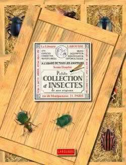 Petite collection d'insectes de nos régions, 114 espèces d'insectes et autres arthropodes Patrice Leraut
