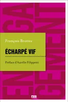 Echarpé vif, Notes de voyage en politique d'un élu de la Ve République