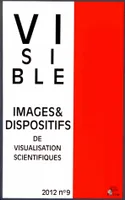 Visible, n° 9/2012, Visualisation et mathématisation
