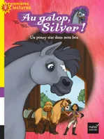 Au galop, Silver !, 2, Un poney star dans mon box