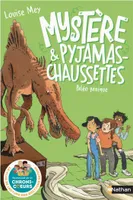 Mystère et Pyjamas-Chaussettes - tome 5: Panique préhistorique