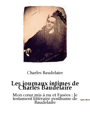 Les journaux intimes de Charles Baudelaire, Mon coeur mis à nu et Fusées : le testament littéraire posthume de Baudelaire