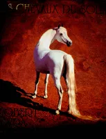 Les chevaux du soleil, portrait des plus merveilleux chevaux du monde
