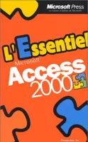 Access 2000, Microsoft