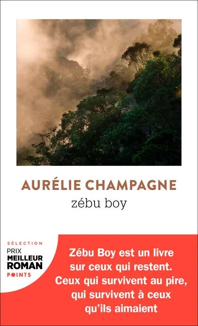 Livres Littérature et Essais littéraires Romans contemporains Francophones Zébu boy, Roman Aurélie Champagne