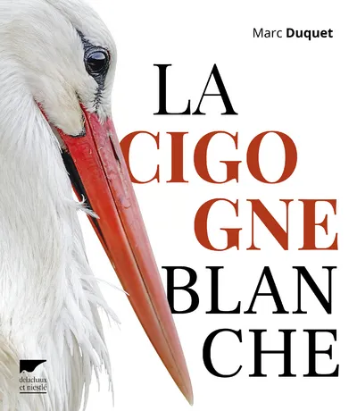 Livres Écologie et nature Nature Faune La cigogne blanche Marc Duquet