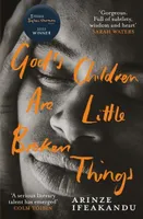 God's Children are Little Broken Things (Dylan Thomas Prize 2023)