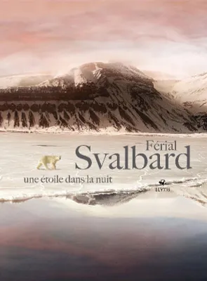 Svalbard une étoile dans la nuit