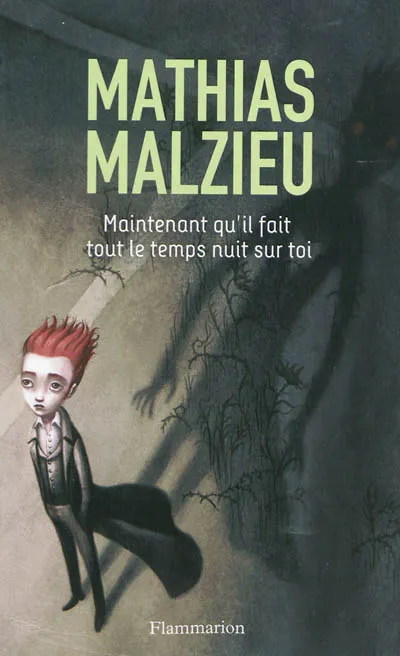Livres Jeunesse MAINTENANT QU'IL FAIT TOUT LE TEMPS NUIT SUR TOI Mathias Malzieu