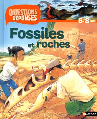 Les fossiles et roches