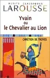 Yvain ou le Chevalier au lion, roman arthurien