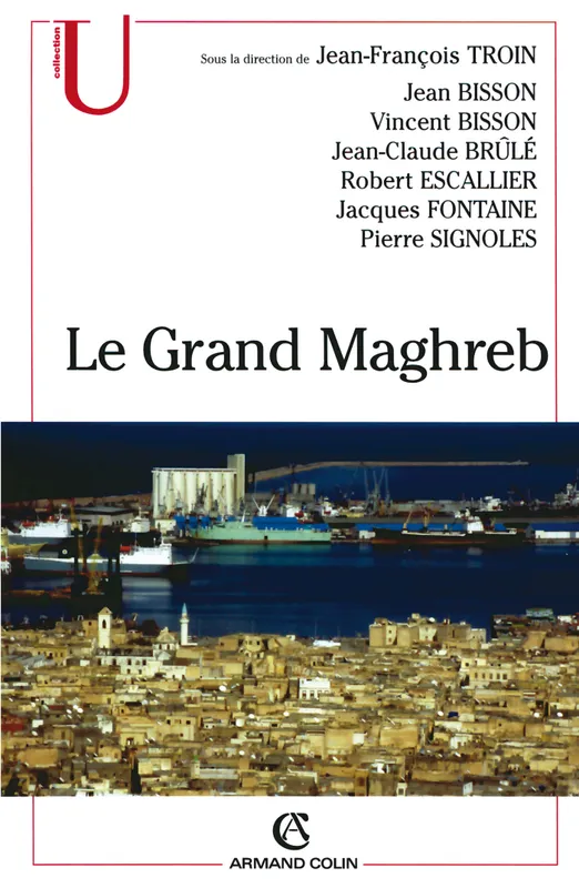 Livres Histoire et Géographie Géographie Le Grand Maghreb, mondialisation et construction des territoires Jean-François Troin