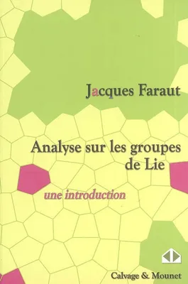 ANALYSE SUR LES GROUPES DE LIE, UNE INTRODUCTION., une introduction