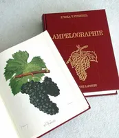 Ampélographie en 7 volumes, traité général de viticulture
