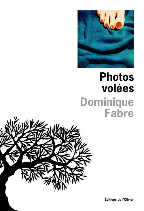 Livres Littérature et Essais littéraires Romans contemporains Francophones Photos volées Dominique Fabre