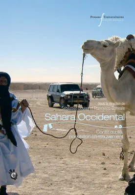 Sahara Occidental, Conflit oublié, population en mouvement