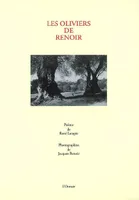 Les oliviers de Renoir