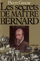 Les Secrets de Maître Bernard, Bernard Palissy et son temps