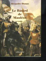 Le bâtard de Mauléon, roman