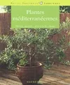 PLANTES MEDITERRANEENNES, les conseils d'un expert pour cultiver des plantes méditerranéennes sous un climat doux