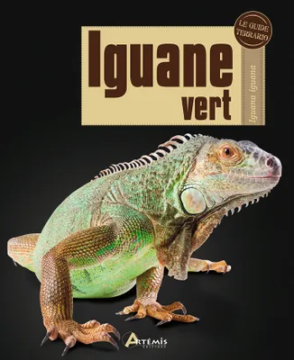 Iguane vert - Iguana iguana, Iguana iguana