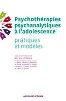 Psychothérapies psychanalytiques à l'adolescence, Pratiques et modèles