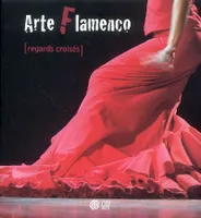 Arte flamenco, regards croisés