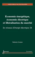 Économie énergétique, économie électrique et libéralisation du marché (les réseaux d'énergie électrique 3A)