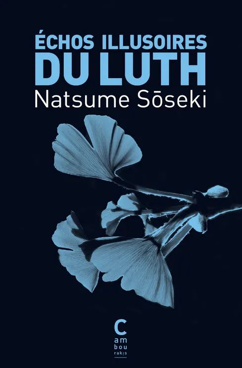 Livres Littérature et Essais littéraires Romans contemporains Etranger Échos illusoires du luth Sōseki Natsume