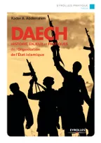 Daech / histoire, enjeux et pratiques de l'organisation Etat islamique, Histoire, enjeux et pratiques de l'Organisation de l'Etat islamique.