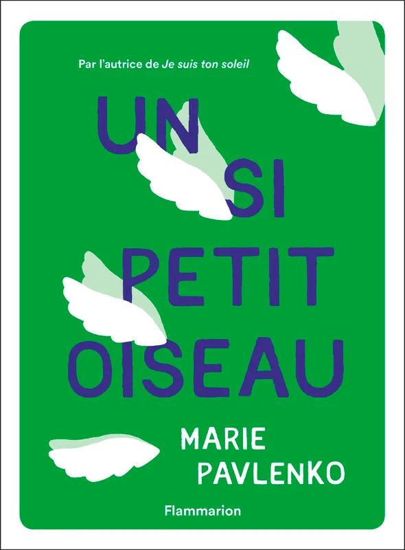 Livres Ados et Jeunes Adultes Les Ados Romans Littératures de l'imaginaire Un si petit oiseau Marie Pavlenko