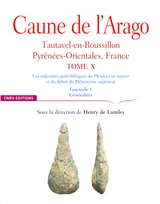 Caune de l'Arago, 10, Les industries paléolithiques du Pléistocène moyen et du début du Pléistocène supérieur