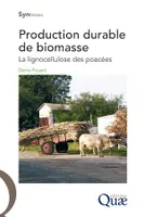 Production durable de biomasse, La lignocellulose des poacées