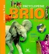 Brio : Encyclopédie des grands : histoire