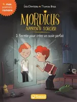 2, Mordicus, apprenti sorcier 2 - Recette pour créer un sosie parfait
