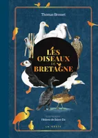Les oiseaux de Bretagne