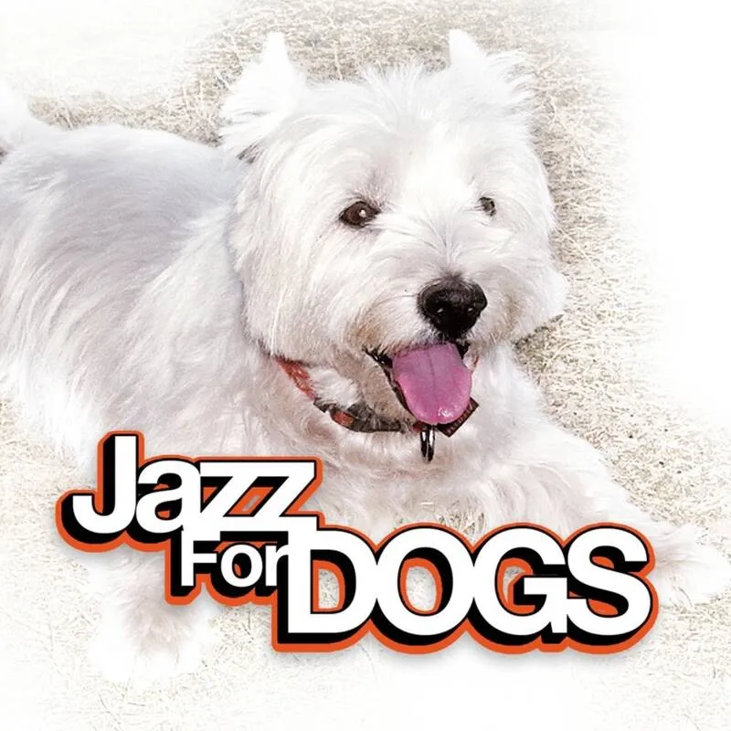 CD, Vinyles Jazz, Blues, Country Jazz Jazz For Dogs Multi-artistes