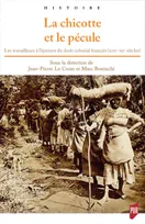 La chicotte et le pécule, Les travailleurs à l'épreuve du droit colonial français (xixe-xxe siècles)