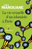 La Vie sexuelle d'un islamiste à Paris, roman