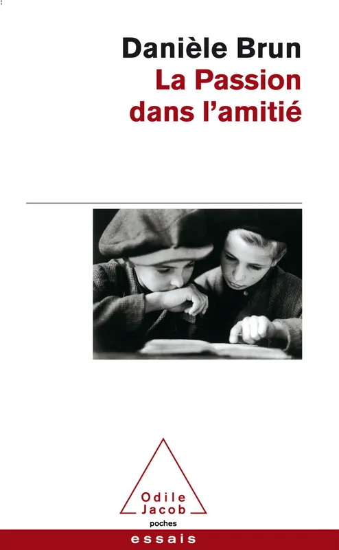 Livres Sciences Humaines et Sociales Psychologie et psychanalyse La passion dans l'amitié Danièle Brun