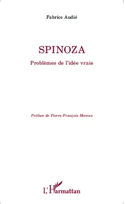 Spinoza, Problèmes de l'idée vraie